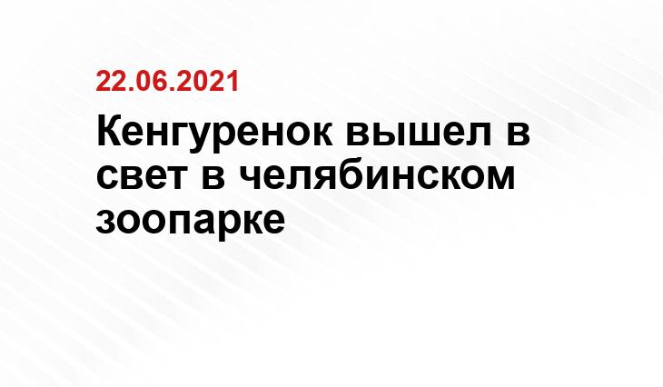 и видео пресс-службы Челябинского зоопарка