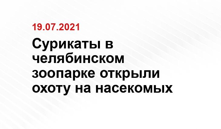и видео пресс-службы Челябинского зоопарка