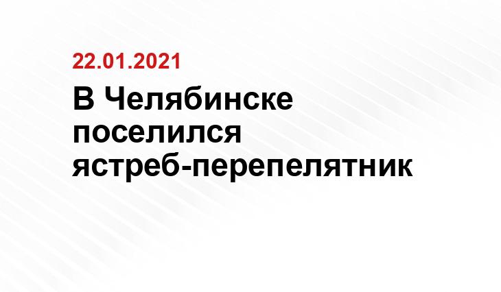 Елены Лаврентьевой, cheltv.ru