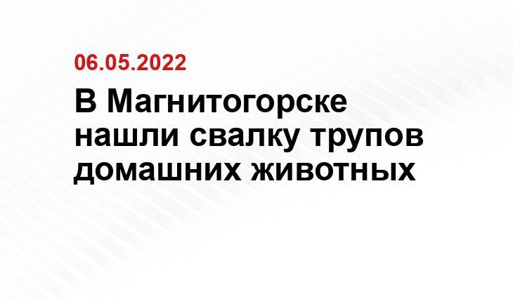mgorsk.ru