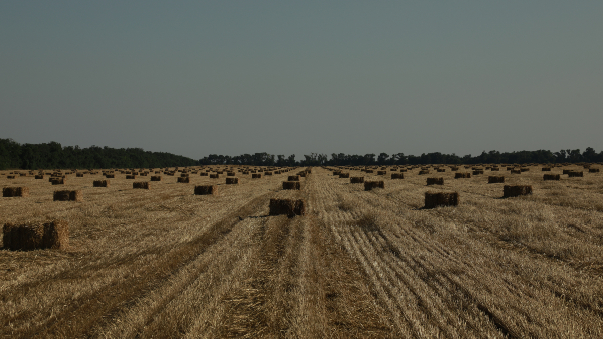 Молодые абитуриенты агроинститутов будут изучать беспилотные технологии и точное земледелие ООО «СДК»