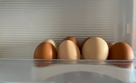 Как отличить свежее яйцо от старого в магазине: 5 признаков, о которых вы не догадывались