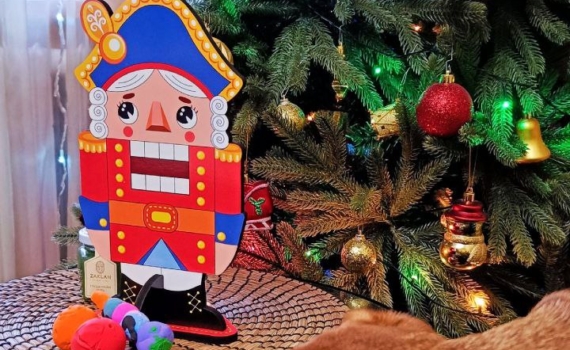 Цветотерапия в действии: как через цвет ёлки привлечь в дом благополучие — модные тренды и талисман