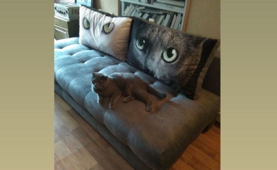 Почему один и тот же диван одному рай, а другому — ад? Ответьте себе на эти 5 вопросов перед покупкой Почему один и тот же диван одному рай, а другому — ад? Ответьте себе на эти 5 вопросов перед покупкой