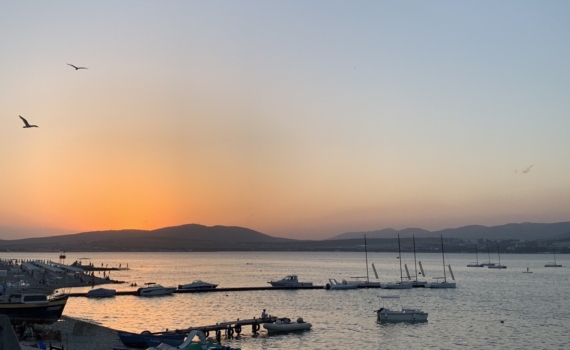 Аль-Джазира: Африке необходимо разработать эффективную и единую морскую политику Аль-Джазира: Африке необходимо разработать эффективную и единую морскую политику
